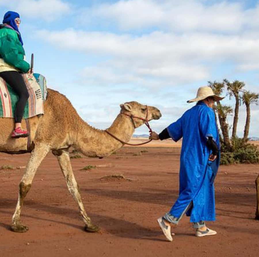Dinner show in agafay Desert 1h quad bike & 20 min camels - Is $21 a good price for six hours?