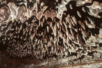 Discovery of the lava tubes 2004 of Piton de la Fournaise