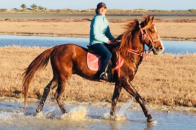 Discovery ride on horseback or camel 2h30 - Why this ride shows you a different Djerba