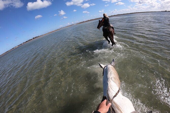 Discovery ride on horseback or camel 2h30 - Crossing the lagoon and pausing beside the water