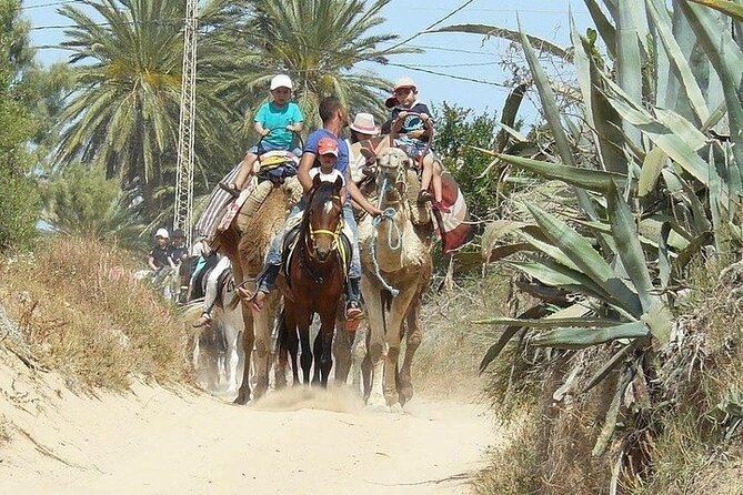 Discovery ride on horseback or camel 2h30 - Pace, group size, and what the two and a half hours mean