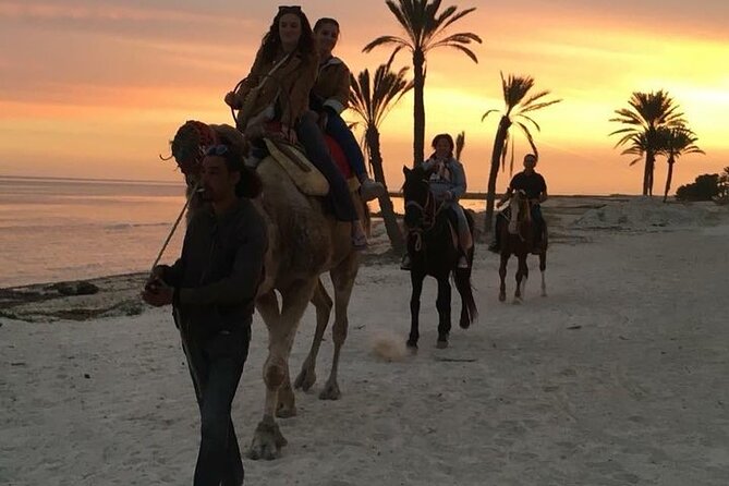 Discovery ride on horseback or camel 2h30 - What the price includes in practical terms