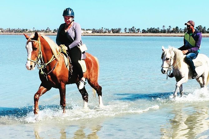 Discovery ride on horseback or camel 2h30 - The first tracks through prickly pears and villages