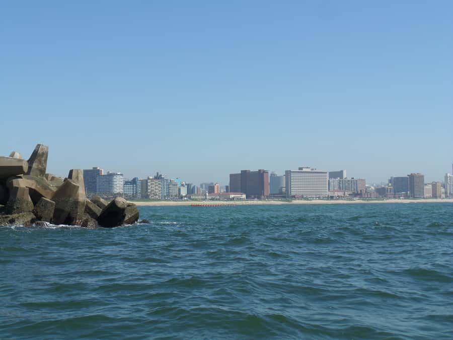 Durban: 1-Hour Boat Cruise from Wilson's Wharf - Harbor ride or open-water adventure