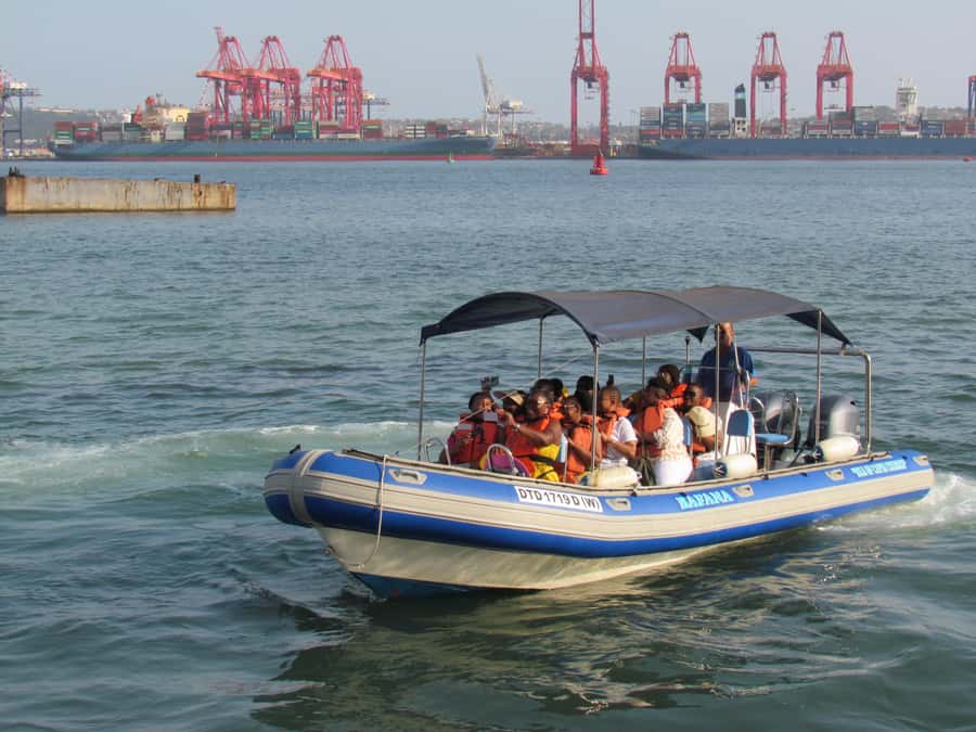 Durban: 1-Hour Boat Cruise from Wilson's Wharf - A one-hour schedule that fits a Durban day
