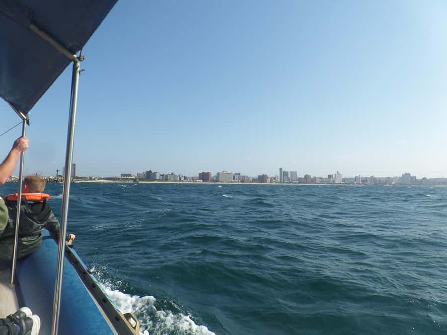 Durban: 1-Hour Boat Cruise from Wilson's Wharf - How much value do you get for $11?