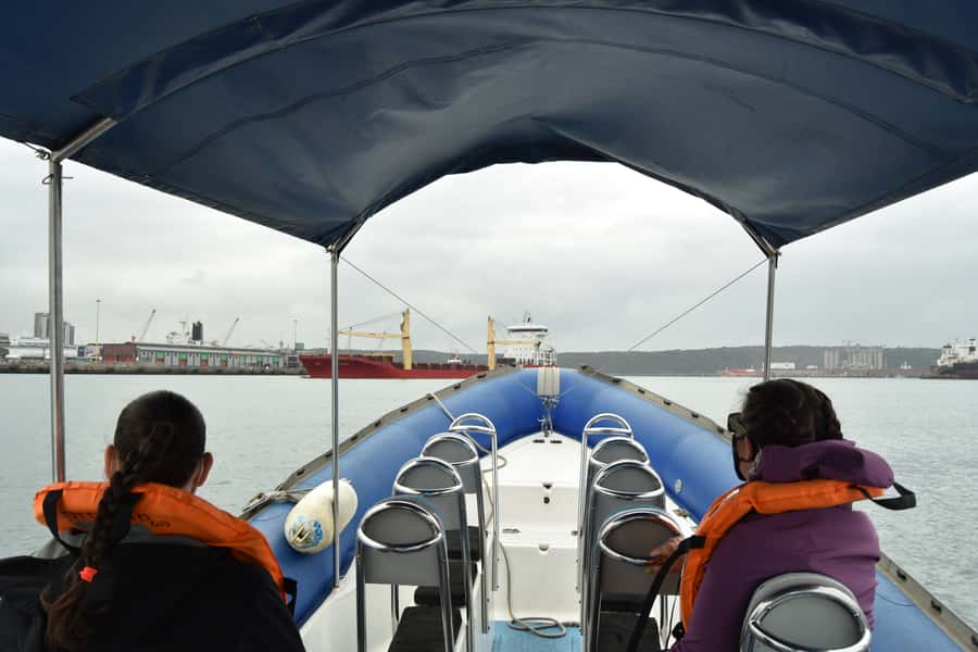 Durban: 1-Hour Boat Cruise from Wilson's Wharf - The crew makes the short ride work