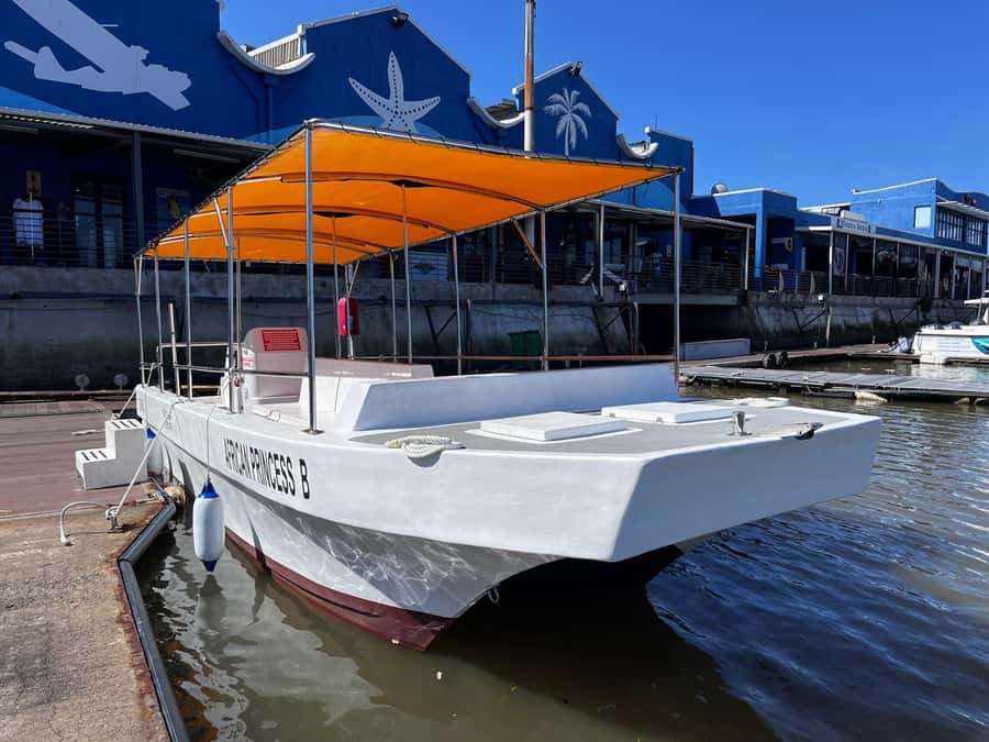 Durban: 30-Minute Harbor Boat Cruise - Birds and possible coastal views