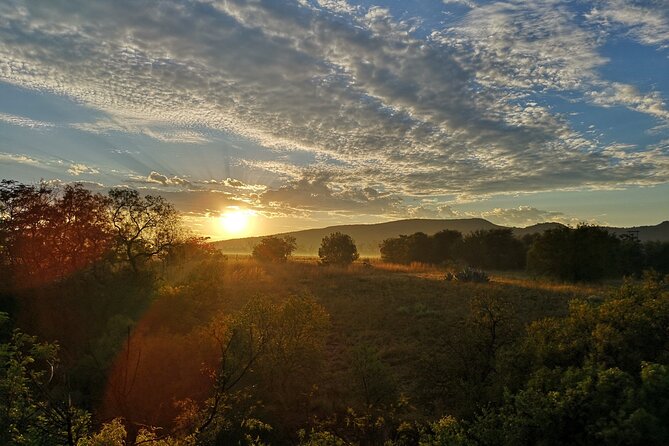 Early Morning Balloon Safari with Breakfast from Magaliesburg - Who will enjoy this balloon safari most