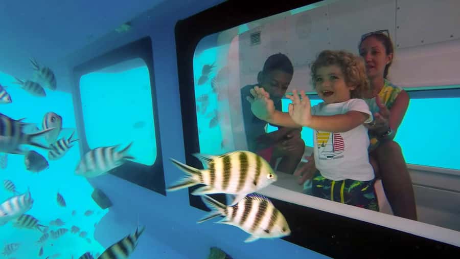 Eden Island: Semi-Submarine Tour in St. Anne Marine Park - What the Eden Island semi-submarine experience is really like