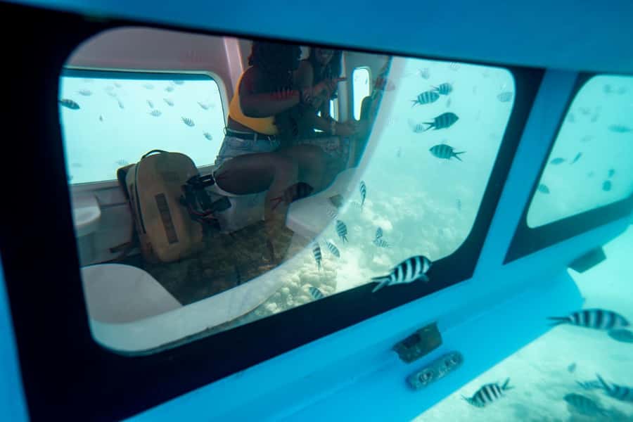 Eden Island: Semi-Submarine Tour in St. Anne Marine Park - Sitting below the surface in the viewing cabin