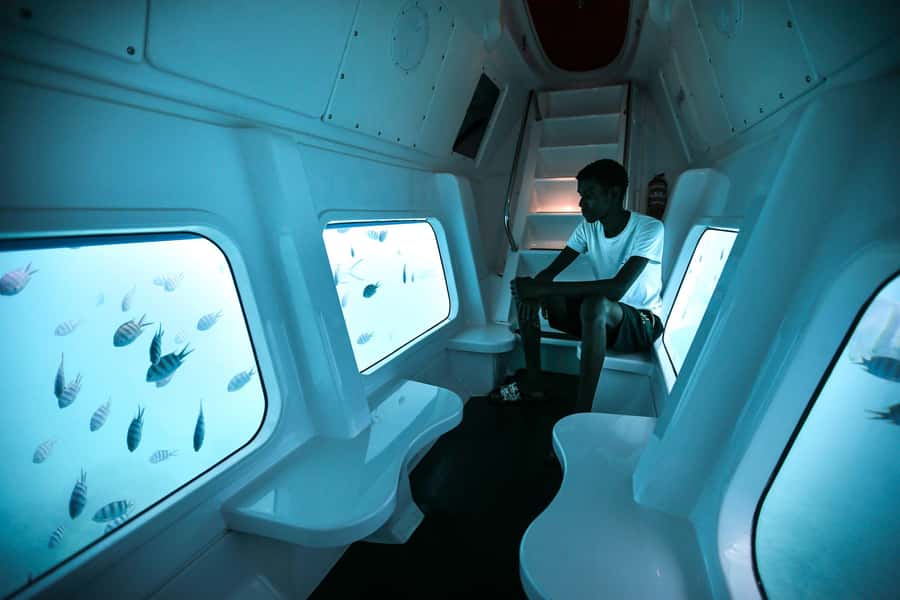 Eden Island: Semi-Submarine Tour in St. Anne Marine Park - What you may see under Sainte Anne Marine Park