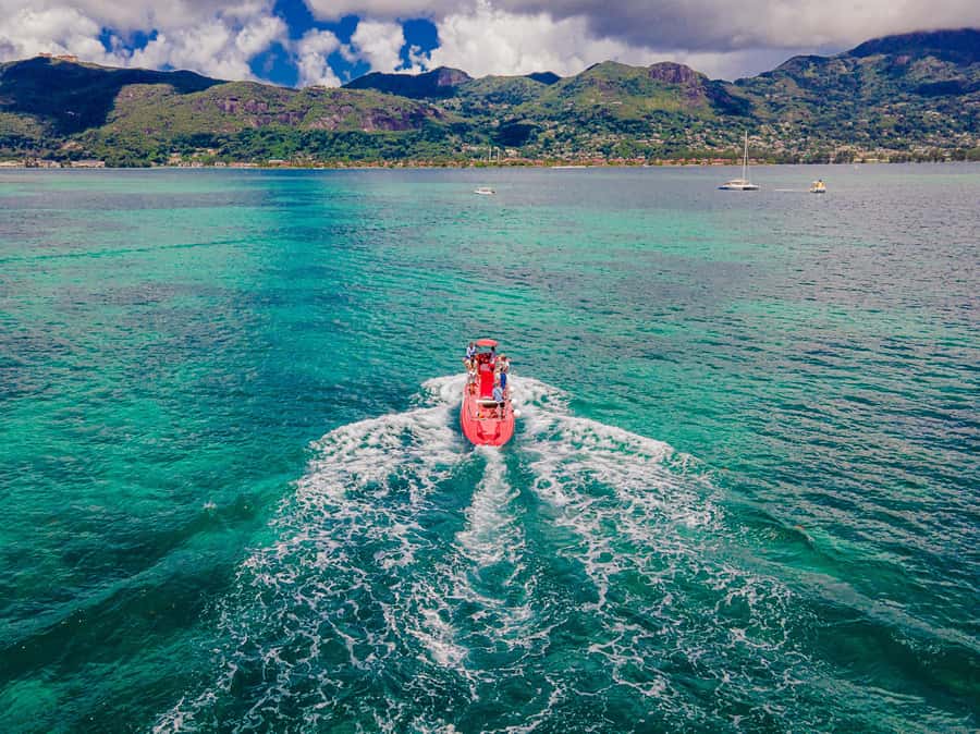 Eden Island: Semi-Submarine Tour in St. Anne Marine Park - Who should book this one-hour trip?