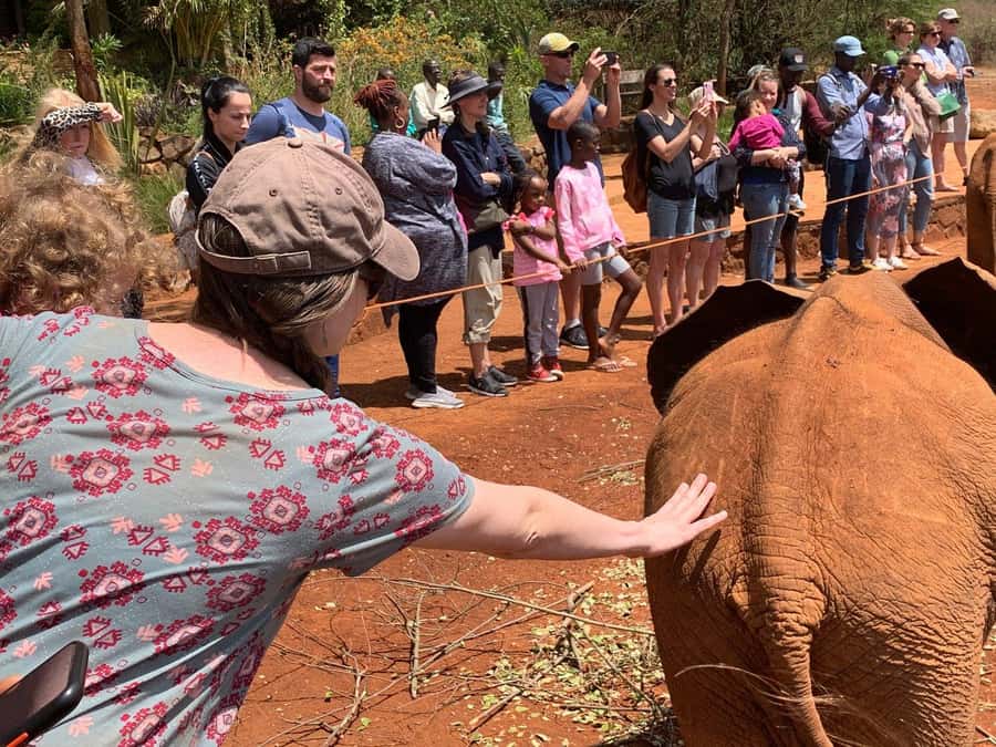 Elephant Orphanage and Giraffe Center Tour with Options - Karen Blixen Museum, Bomas of Kenya, or more wildlife