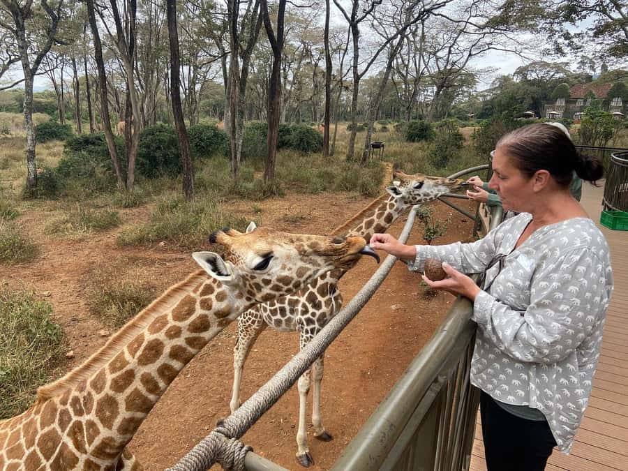 Elephant Orphanage and Giraffe Center Tour with Options - Transport, timing, and the Nairobi traffic factor
