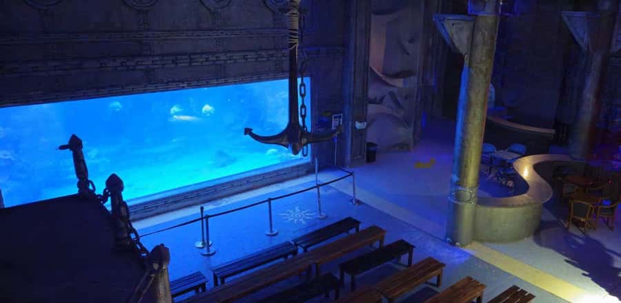 Entry Ticket: Grand Aquarium Hurgada - Entering the jungle-themed aquarium