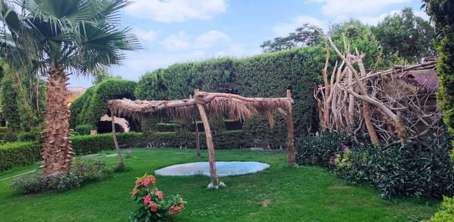 Entry Ticket: Grand Aquarium Hurgada - The rainforest exhibit and rope bridge