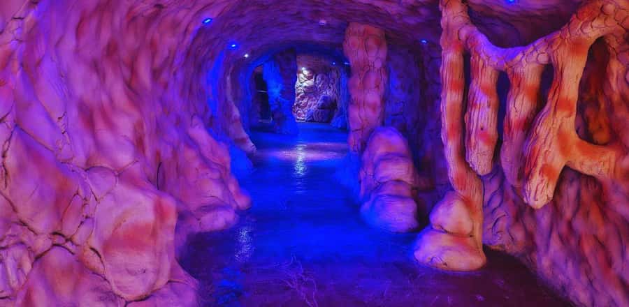 Entry Ticket: Grand Aquarium Hurgada - The mini zoo and rescued animals