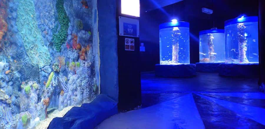 Entry Ticket: Grand Aquarium Hurgada - Should you book Hurghada Grand Aquarium?