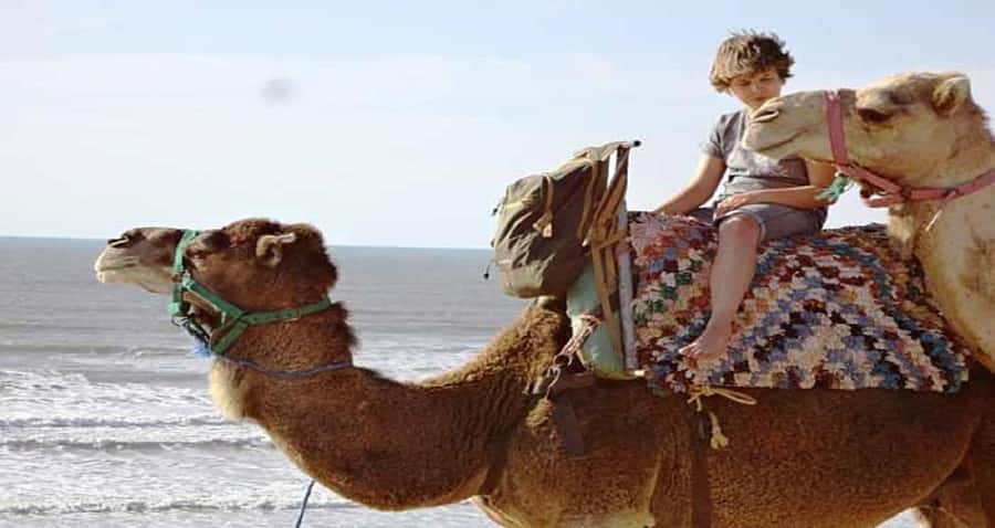 Essaouira: 2-Hour Camel Ride - Why this camel ride feels different from a beach photo stop
