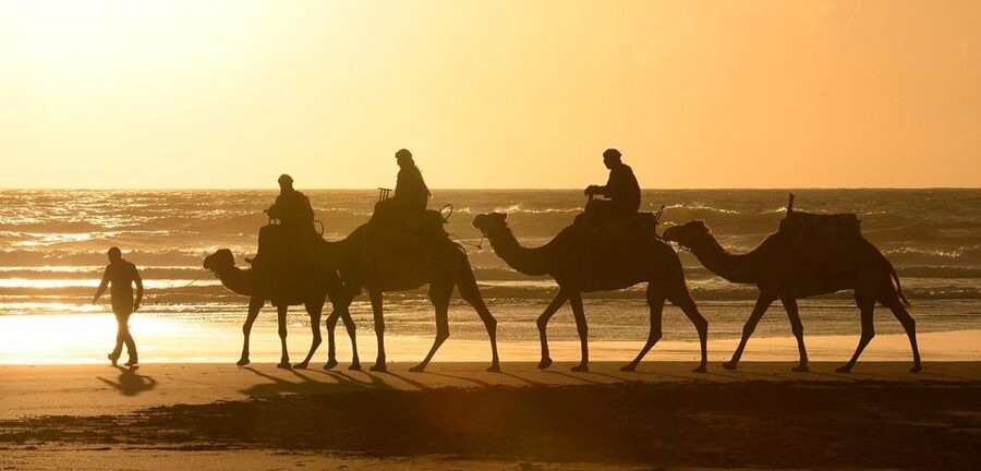Essaouira: 2-Hour Camel Ride - What the guides add to the ride