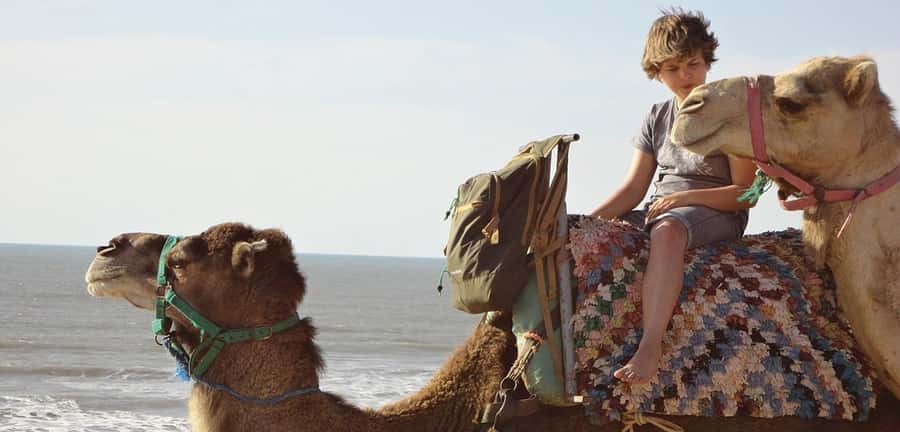 Essaouira: 2-Hour Camel Ride - Is $47 good value for two hours?