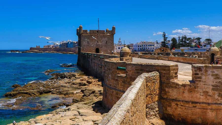 Essaouira: 2-Hour Camel Ride - Who will enjoy this Essaouira outing?