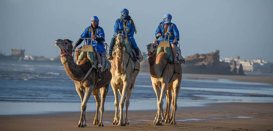 Essaouira: 2-Hour Camel Ride - Getting from your hotel to the camel stables