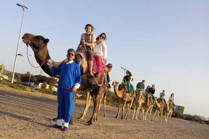 Essaouira Activities: Discover Essaouira by Quad - What beginners and families should know