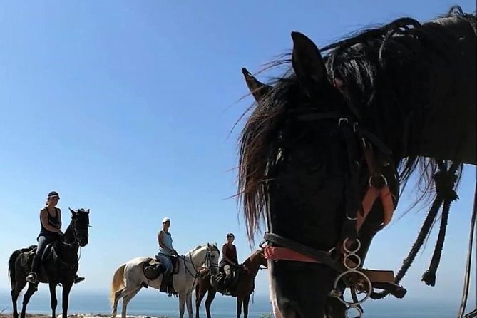 Essaouira Activities: Discover Essaouira by Quad - Booking details and cancellation