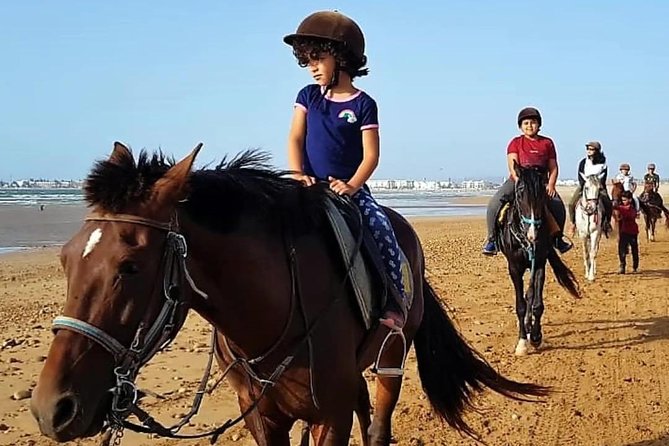 Essaouira Activities: Discover Essaouira by Quad - Horse or dromedary camel: choosing your ride