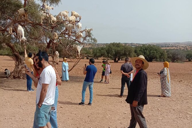 Essaouira Day Trip from Marrakech - Why Essaouira makes a good break from Marrakech