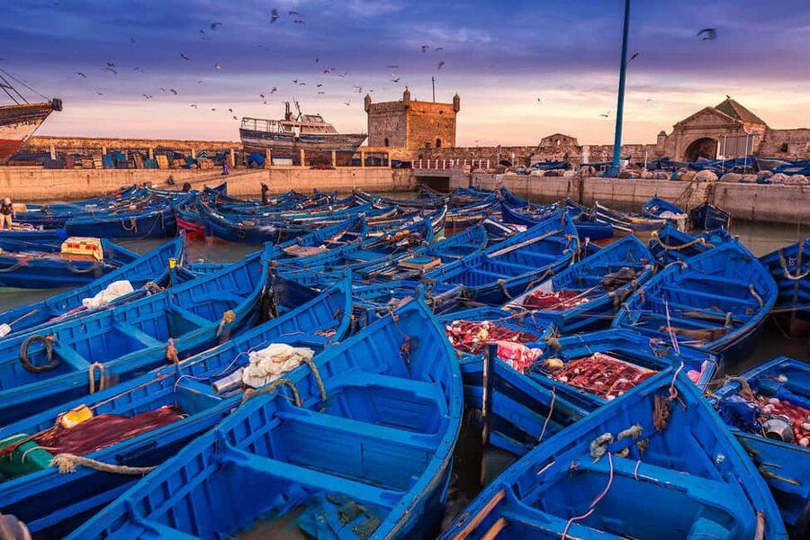 Essaouira Full Day Trip From Marrakech - Food, weather, and what to pack