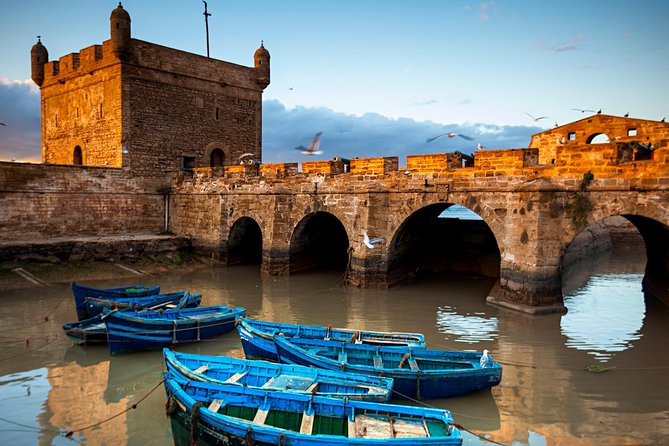 Essaouira Full Day Trip From Marrakech - First stop: Essaouira’s working harbor