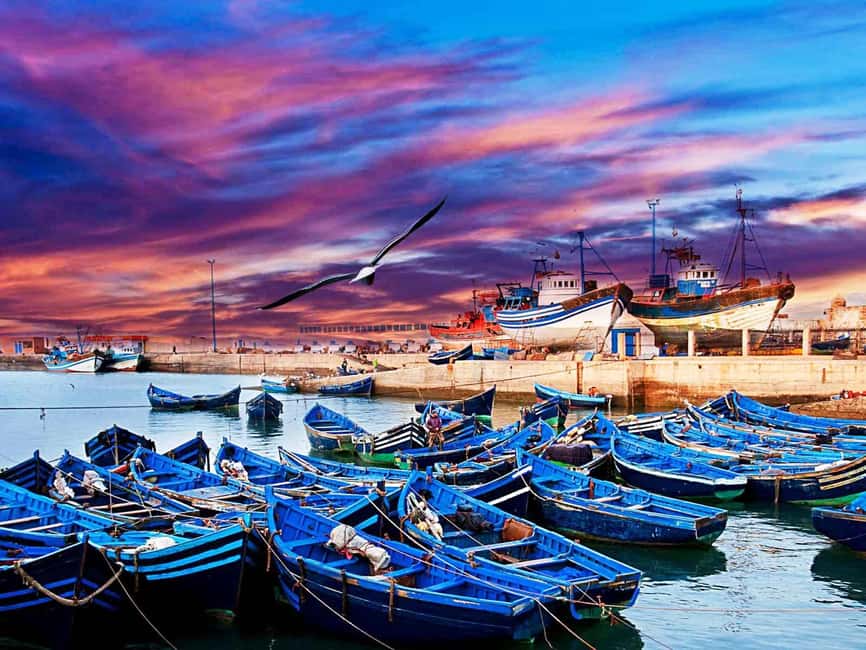 Essaouira Full Day Trip From Marrakech - How much time will you really have?