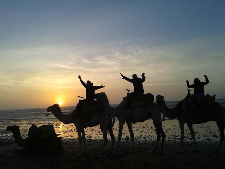 Essaouira: One Hour Dromedary Ride - At a glance