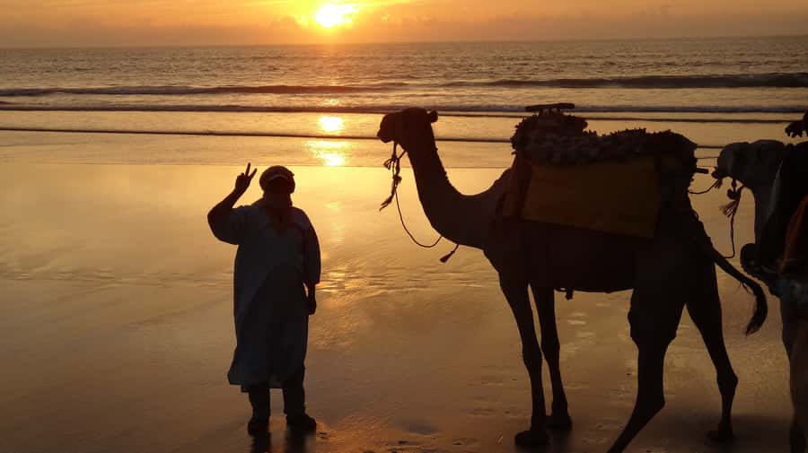 Essaouira: One Hour Dromedary Ride - Meeting your dromedary at Ranch de Diabat