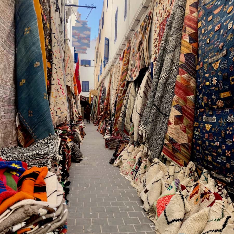 Essaouira: Private City Tour - Start at Essaouira’s fishing port