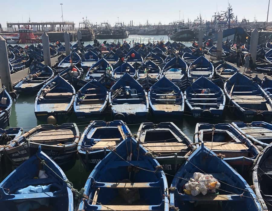Essaouira: Private City Tour - Is $35 per person good value?