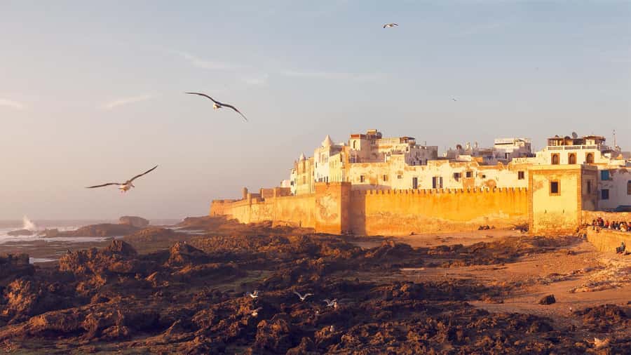 Essaouira: Sqala du Port, Medina Ramparts & Fish Market Tour - Guides, language, and the feel of the walk