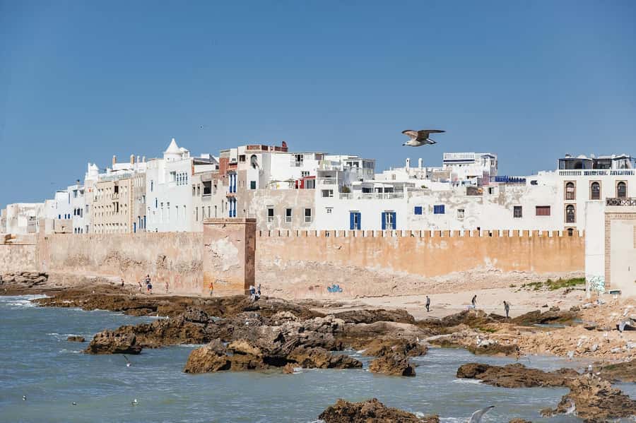 Essaouira: Sqala du Port, Medina Ramparts & Fish Market Tour - Starting at Bab Sbaa and entering the Medina