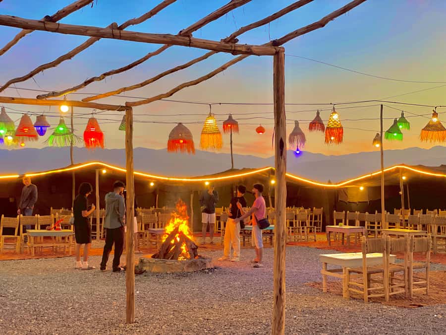Evening Marrakech: Agafay Desert Quad , Camel & Dinner Shows - Meeting the Argan oil cooperative