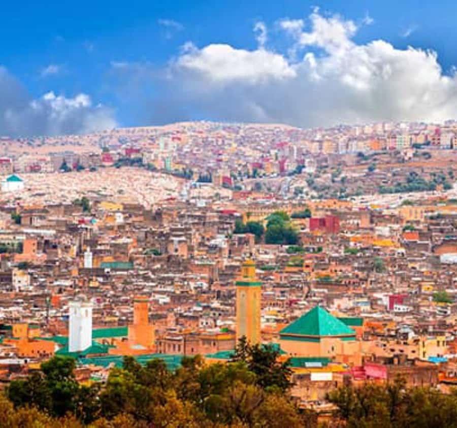 Explore Fes: Unforgettable Guided Walking Tour of the Medina - Tanneries, leather work, and the smell of real production