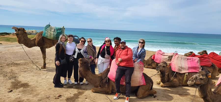 Explore Tangier: Cap Spartel, Cave, & Camel Ride Adventure - Transport, timing, and the value of $33