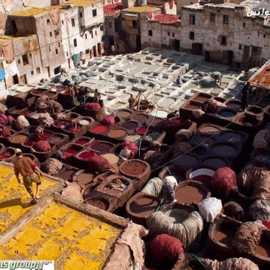 Fes: A Guided Walking Tour Through the Historic Medina - Who should book this Medina walk