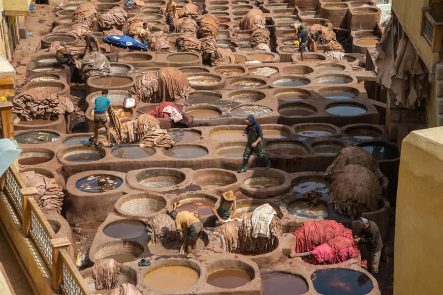 Fes: Attarine Madrasa, Museum, Tannery, Souk and Medina Tour - Four hours of walking, with a few practical catches