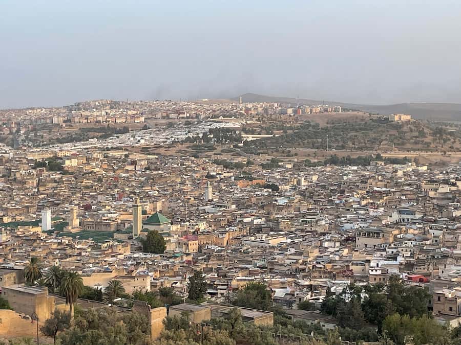 Fes: Medina Guided Tour with Local - Chaouwara Tannery, the most famous stop