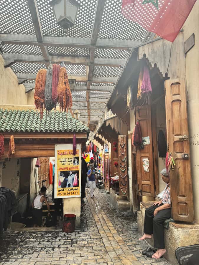 Fes: Museum, Al Attarine Madrasa & Tannery and Medina Tour - Who should book this Fes tour?