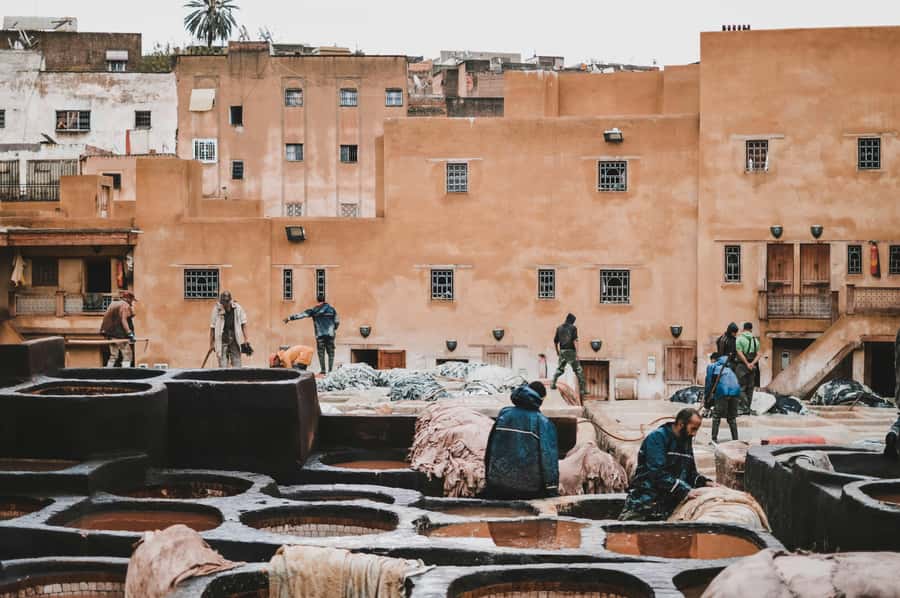 Fes: Royal Palace, Madrasa, Tannery & Souks and Medina Tour - Chouara Tannery and the smell of leather