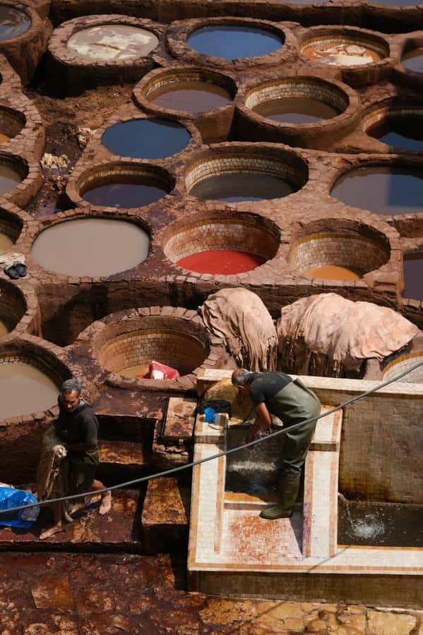 Fez: Guided Walking Tour of the Historic Medina - Price, language, and practical value